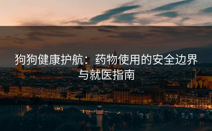 狗狗健康护航：药物使用的安全边界与就医指南