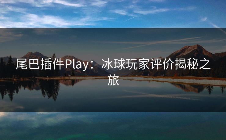 尾巴插件Play：冰球玩家评价揭秘之旅